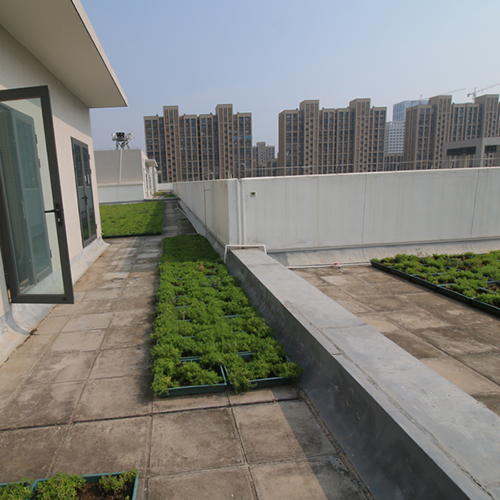 Rooftop Plant Tray Project -- Xiamen Xiangan Xiandian Primary School