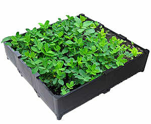 Green Roof Trays, Green Roof Modules, Modular Green Roof System, Green Roofs