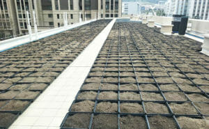 A set of empty modular green roof trays, ready to be filled with soil and plants for a new green roofing project.