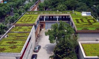 Roof greening is not limited to the beautification of roofs