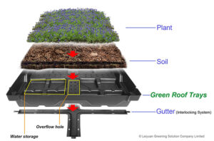 Green Roof Trays Manufacturer Modular Green Roofs System