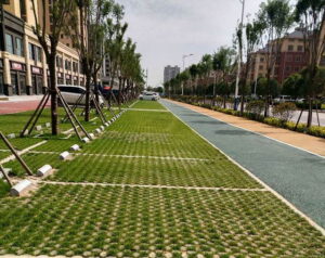 The role of grass planting grid in Eco Parking Lot