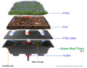 Modluar Green Roof Trays - Sustainable and Eco-Friendly Tray