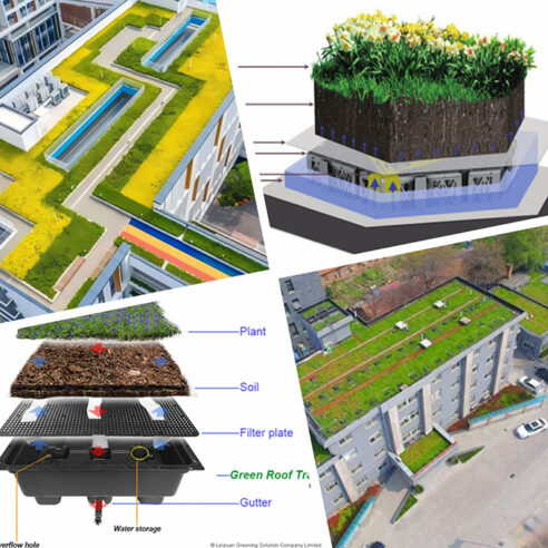 Maximizing the Potential of Green Roof Systems: Layered vs. Tray Approaches