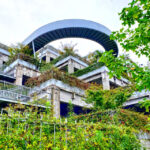 A close-up view of the lush tiered green roof at Green Hill Shanghai, showcasing its unique integration of vegetation and urban architecture.