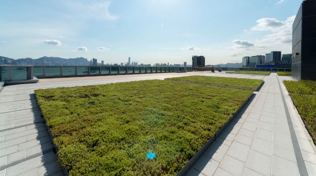 The HT-508 Green Roof Module creating a vibrant, eco-friendly rooftop space for sustainable urban living.