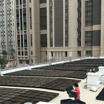 A DIY green roof trays assembly process, showcasing how homeowners can easily create their own green roofs.