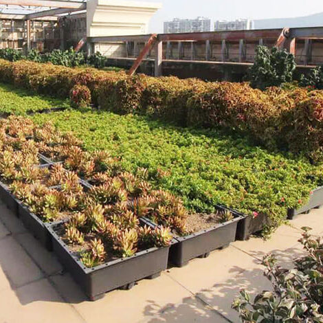 A commercial property equipped with a modular green roof system, enhancing the building's sustainability and aesthetic appeal.